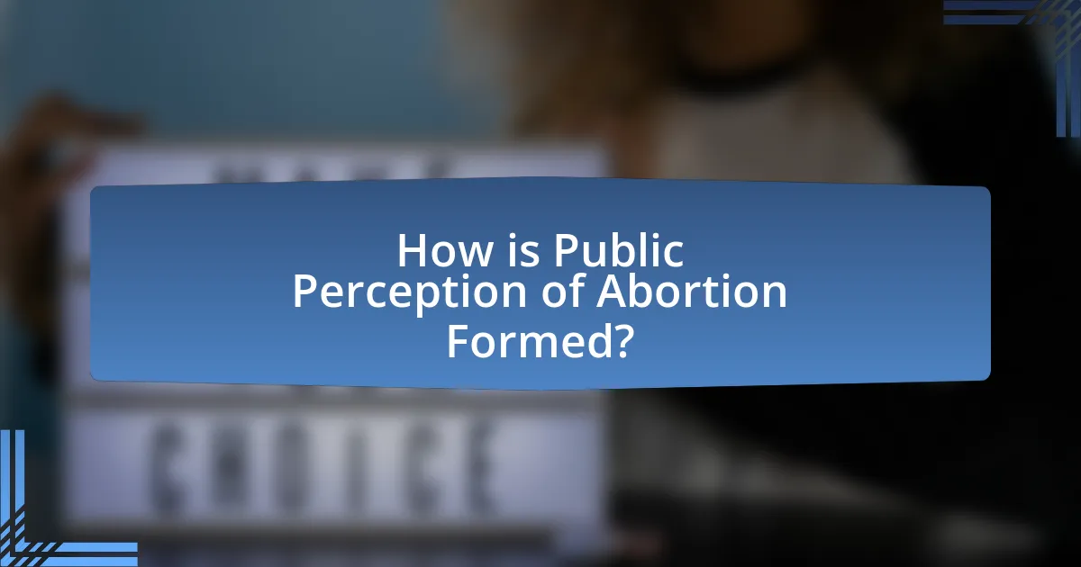 How is Public Perception of Abortion Formed?