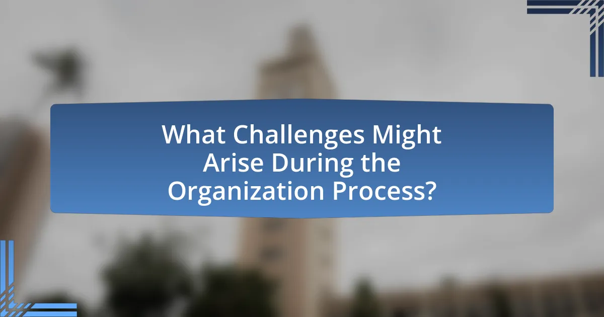 What Challenges Might Arise During the Organization Process?