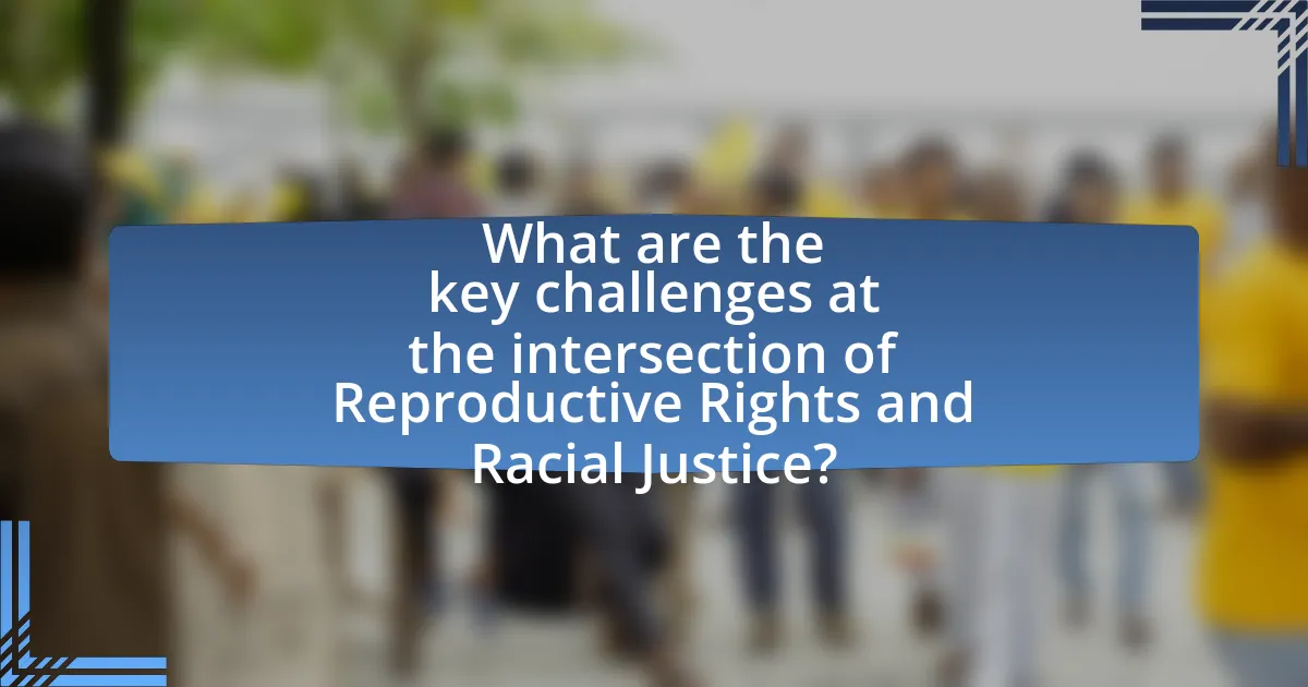What are the key challenges at the intersection of Reproductive Rights and Racial Justice?