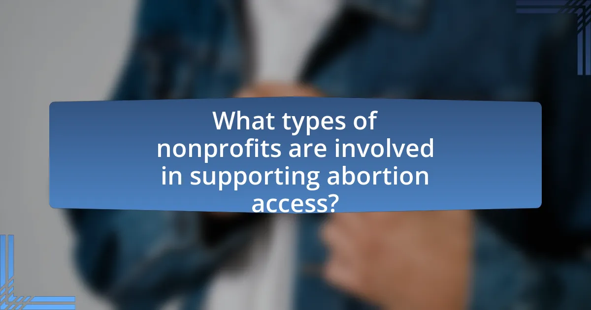 What types of nonprofits are involved in supporting abortion access?